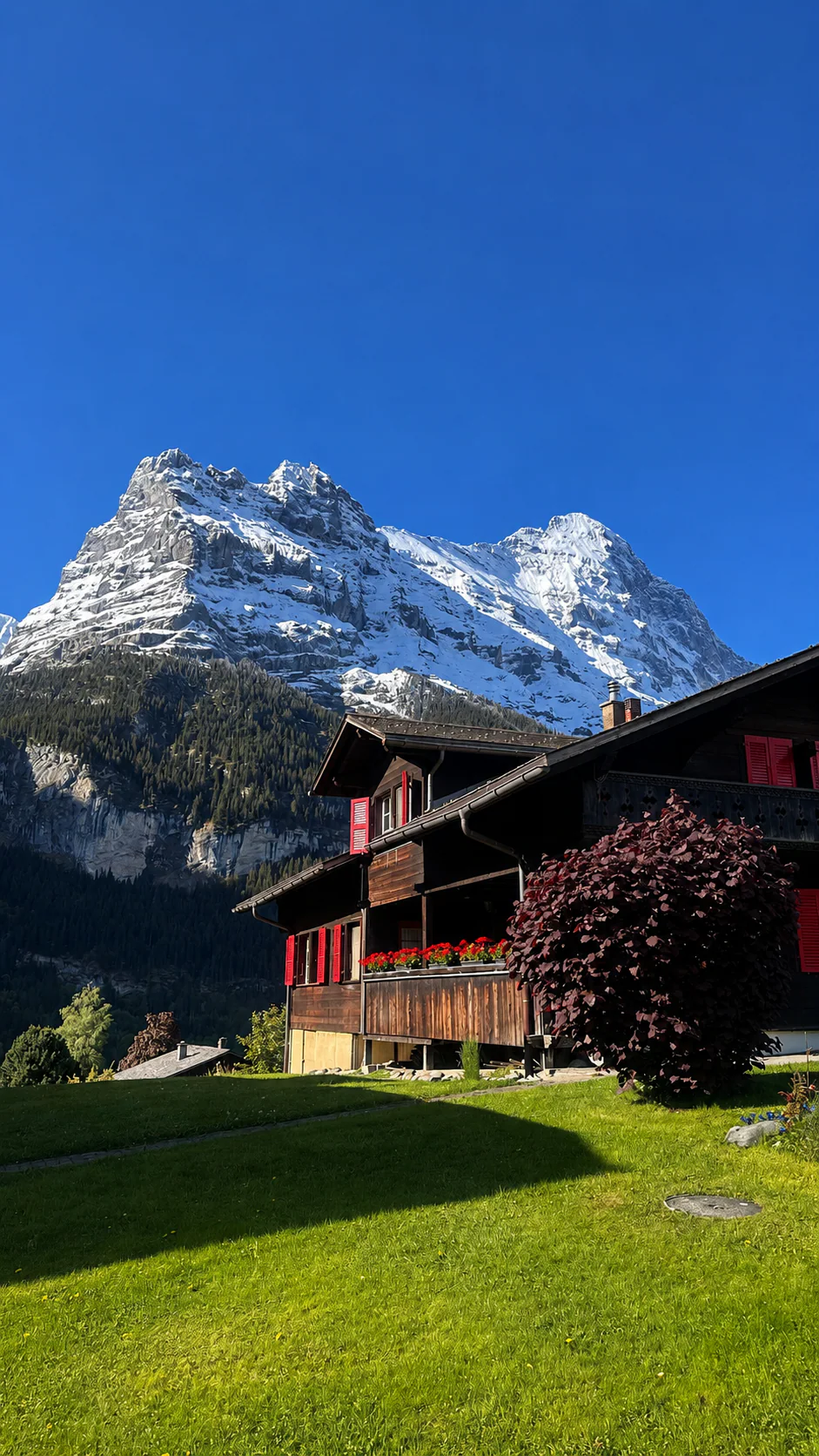 Garten am Chalet im Sommer